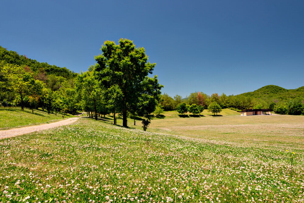 兵庫県三田は観光名所もグルメも目白押し！おすすめスポット10選 - PREMIUM OUTLETS TIMES
