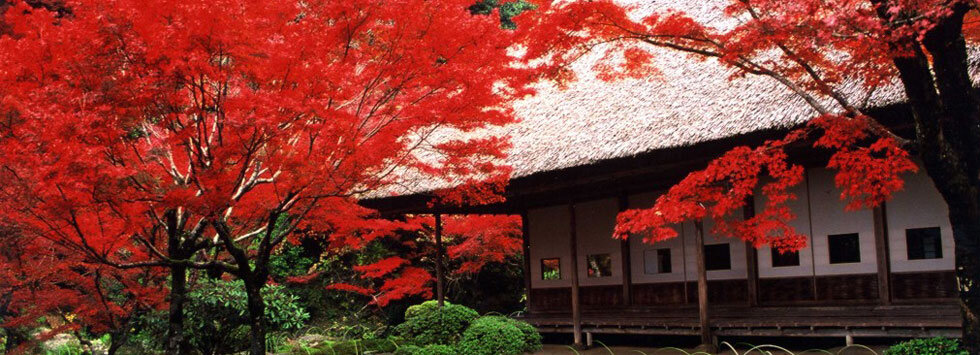 神埼市観光協会｜脊振山麓習遊館