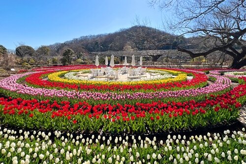 花と光の楽園　あしかがフラワーパーク