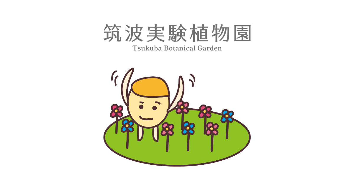 国立科学博物館 筑波実験植物園