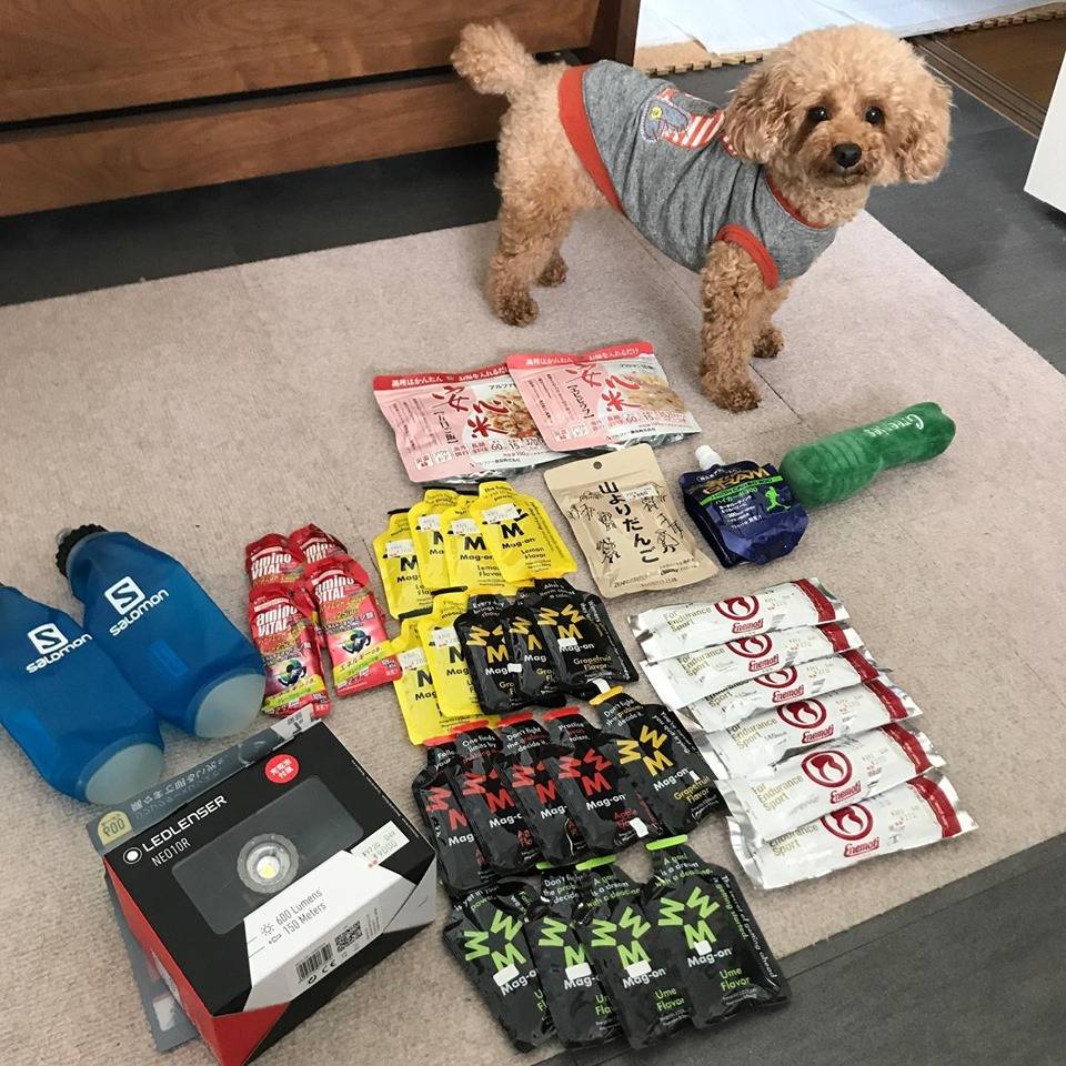 コラム 失敗から学んだジェルの必要性と使い方 Distance Web