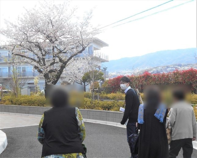 【春イベント】今年は窓からお花見♪室内でできる人気のレクリエーションもご紹介します！