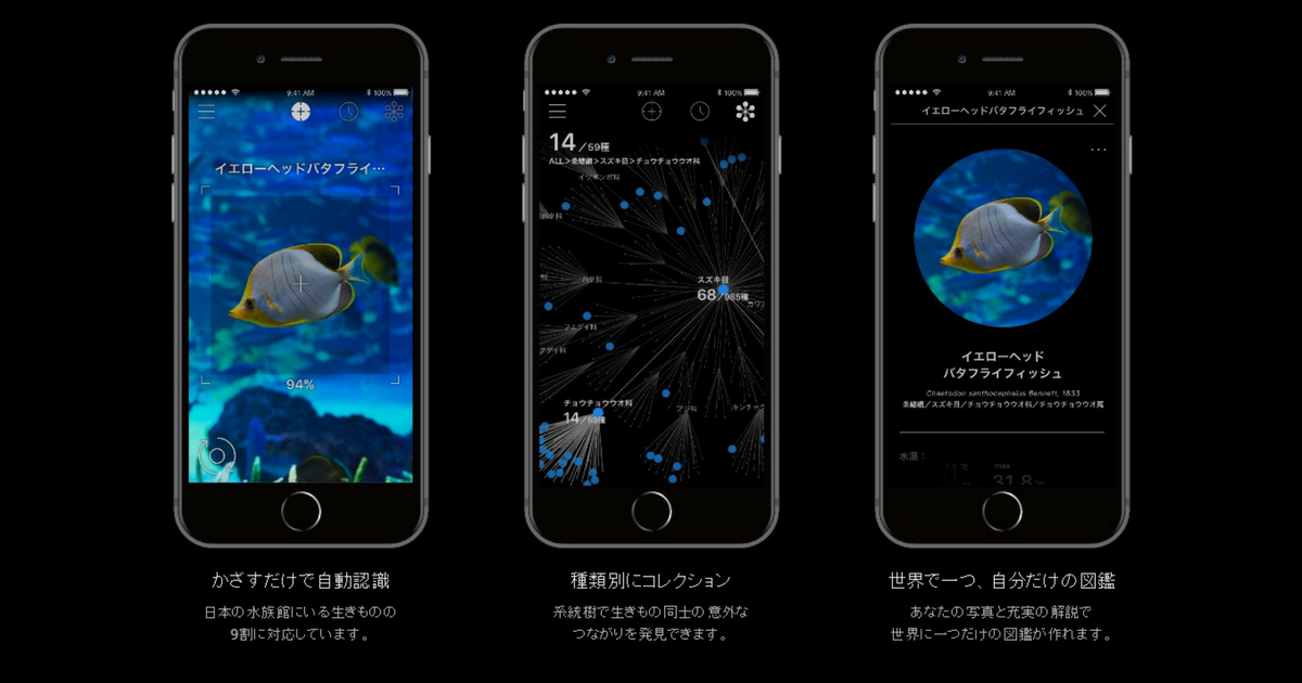 かざすだけで瞬時に約4,000種の生き物の名前がわかる!かざすAI図鑑アプリ「LINNÉ LENS(リンネレンズ)」