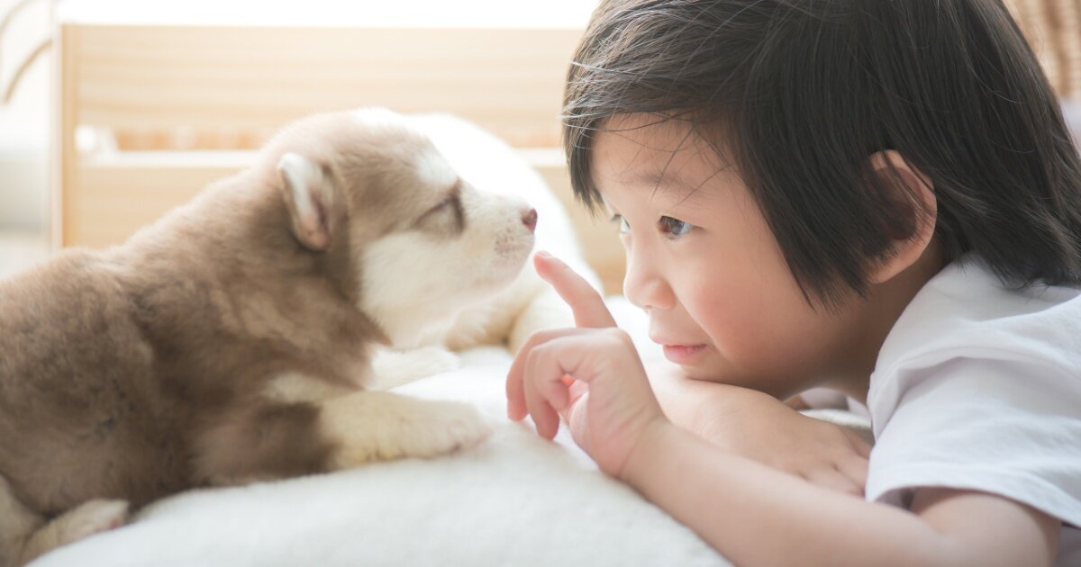 【育児とペット】子どもがいる家庭でも飼いやすいペットは?わが家に合う種類を選ぶポイント