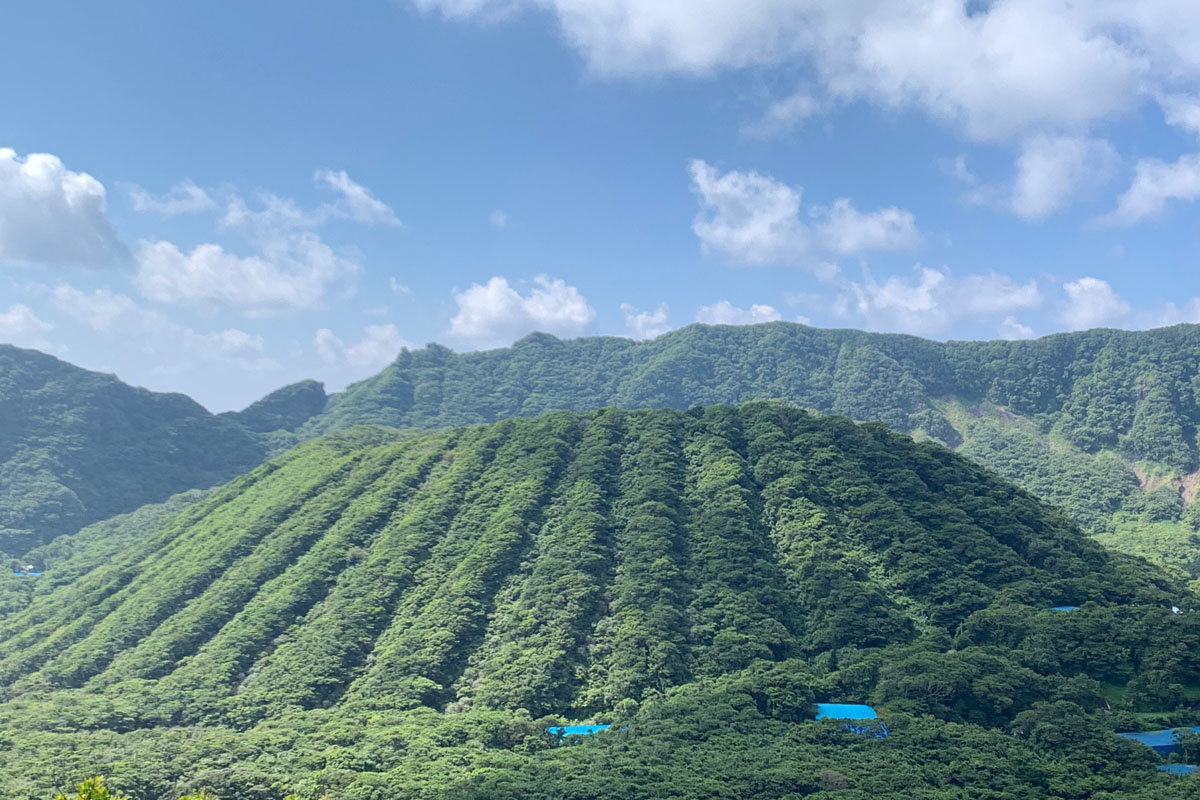 家men,焼酎,東京島酒,青ヶ島,あおちゅう