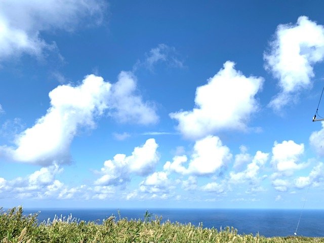 家men,焼酎,東京島酒,青ヶ島,あおちゅう