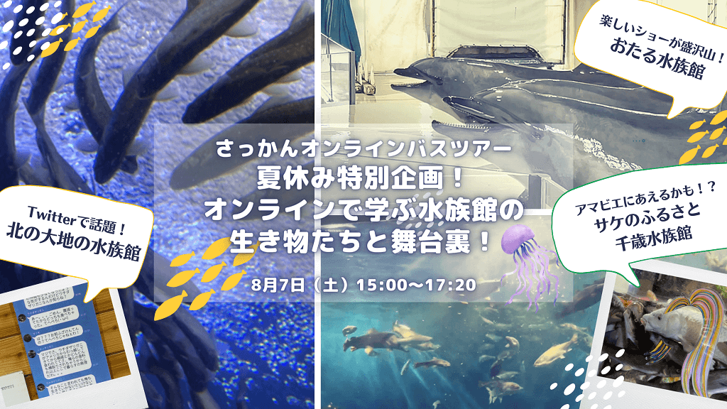 札幌観光バス株式会社 夏休み特別企画！オンラインで学ぶ水族館の生き物たちと舞台裏