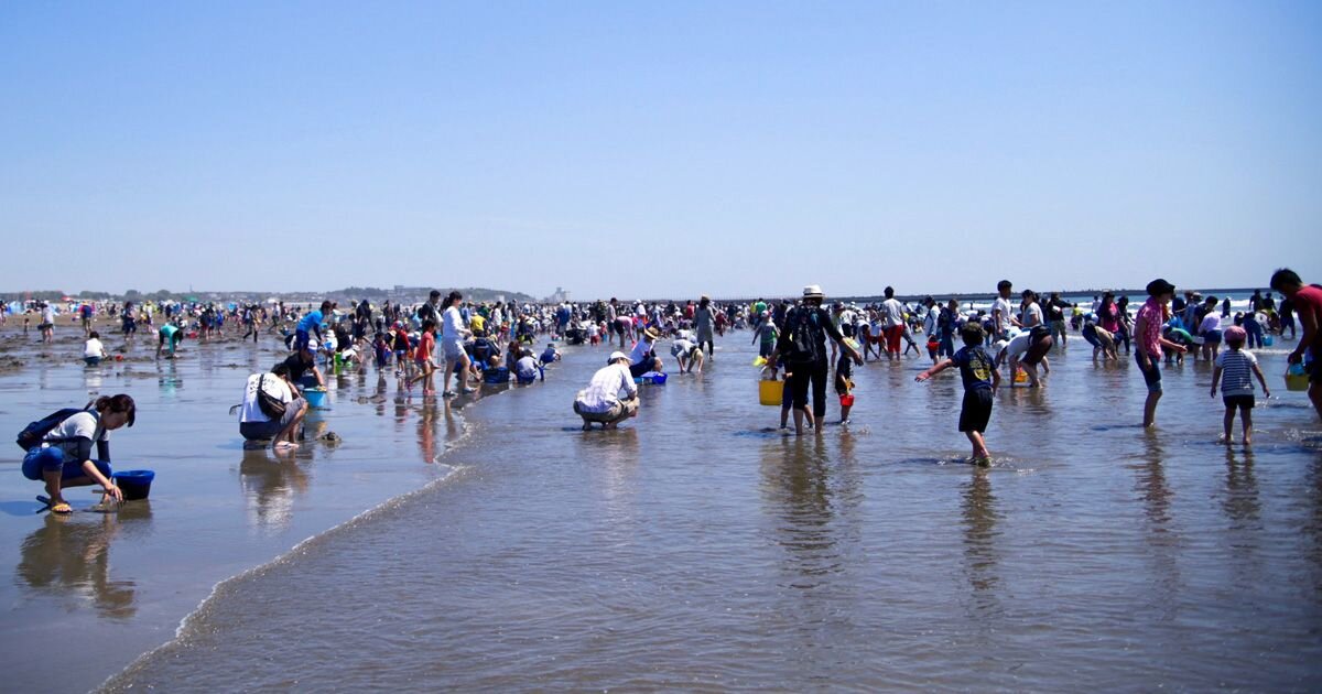 初めてでも失敗しない潮干狩りのコツ：3ポイント