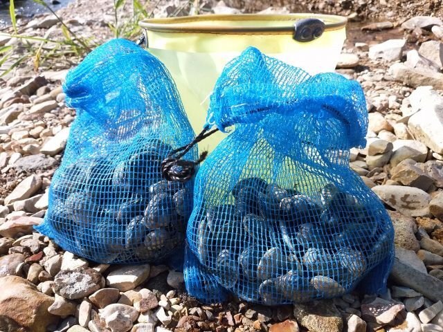 潮干狩り道具②網・バケツ