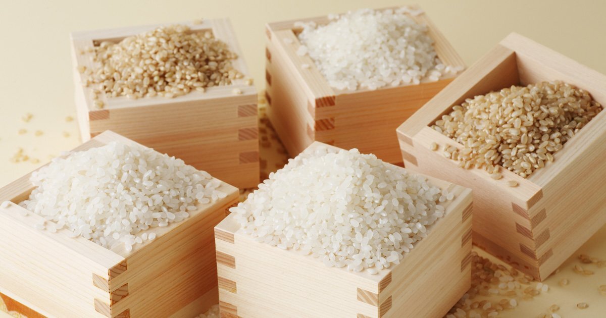 旬八青果店が紹介、お米の品種と特徴