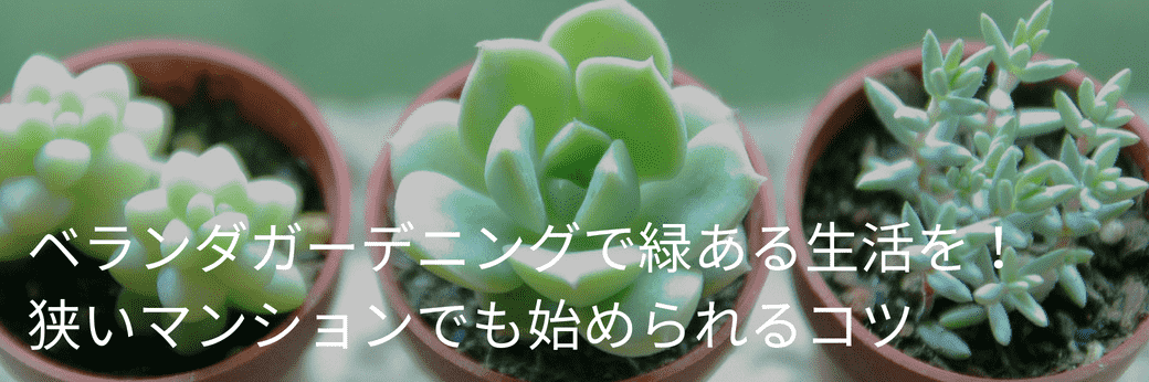 家men,ベランダガーデニング