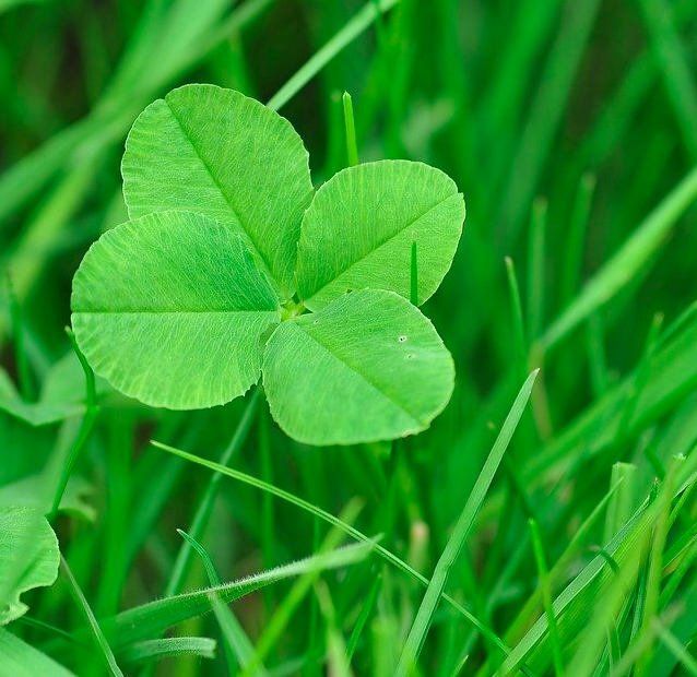 願いを叶える方法を教えちゃいます これであなたも1歩願いに近づくはず 運気を上げる方法満載の開運ガイド Fukutte