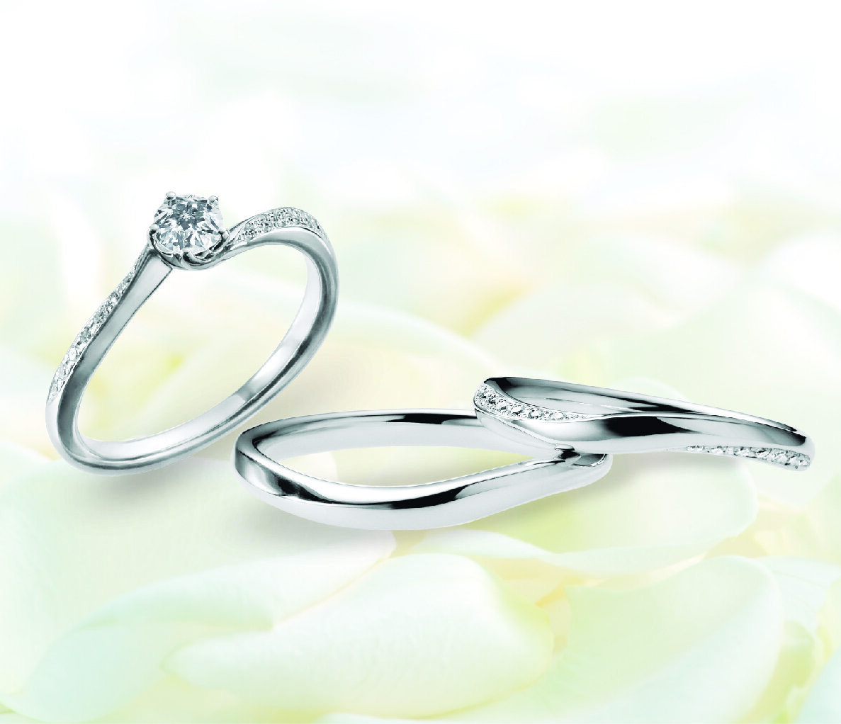 フェスタリアの3本の指輪