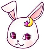 監修者：占術研究家 | 月風うさぎさん