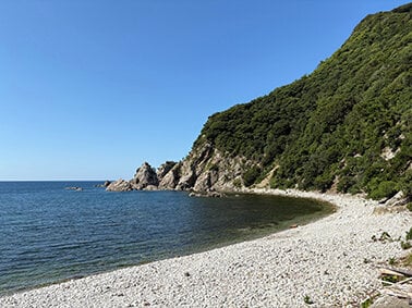地方移住で叶えるセカンドライフのリアル ④/70歳以上の認知機能検査/試験合否は生活に影響