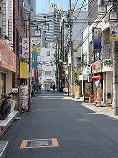 明海大学不動産学部／不動産の話題［１００］／学生と教員の見方 地域の再生と多様性の共存（４）／西川口の多文化チャイナタウン／「生活型」で共生の糸口なるか