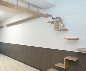 大阪都島区で猫特化型賃貸／ＬｅＴｅｃｈが８階建て２１戸安全面にも配慮