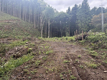 青梅市に企業の森「エコロじいの森２」／ＮＴＴアーバン、森林保全で協定