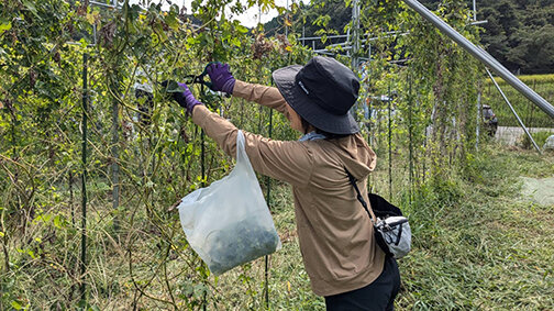 地方移住で叶えるセカンドライフのリアル ⑩／地方から考える持続可能な地域づくり（４）／「コーディネーター」制度統合へ