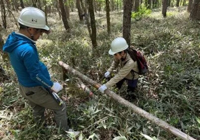 森林整備活動を実施／長谷工Ｇが長野県茅野市で