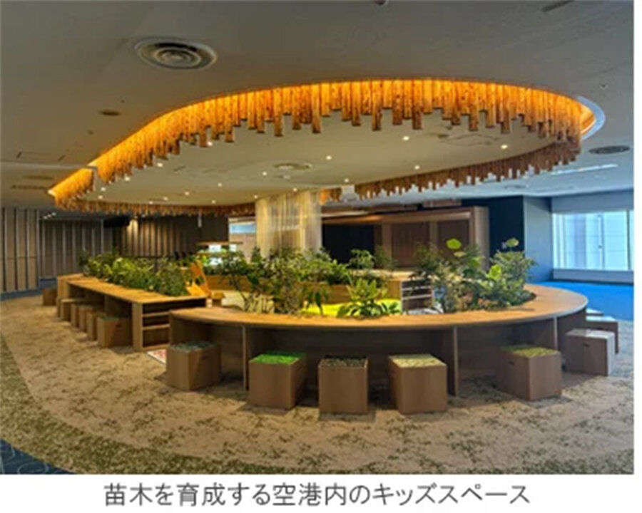 羽田空港内で森林資源循環の取り組み／少花粉スギを育成／住友林業がサポート