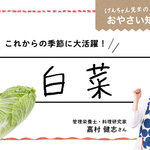 けんちゃん先生のおやさい知恵袋［白菜］