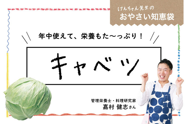 けんちゃん先生のおやさい知恵袋［キャベツ］