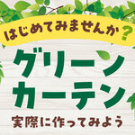 はじめてみませんか？ グリーンカーテン② 実際に作ってみよう