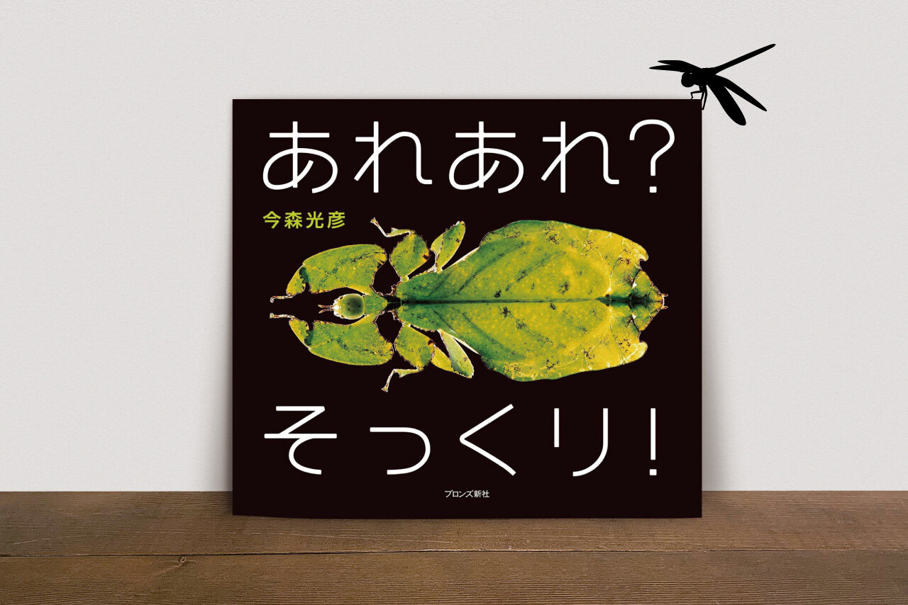 【プレゼント企画あり】今すぐ森に行きたくなる！『あれあれ？ そっくり！』