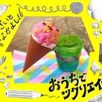 【おうちでツクリエイティブ！】そざいとなかよし「お花紙」