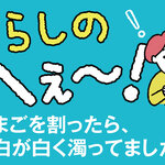 くらしのへぇ〜（たまごを割ったら、卵白が白く濁ってました…）