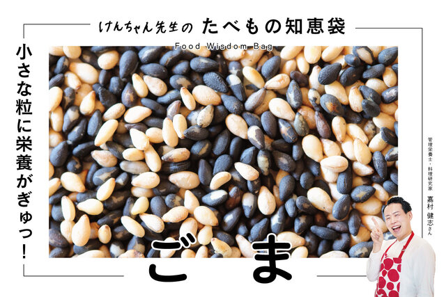 けんちゃん先生のたべもの知恵袋［ごま］