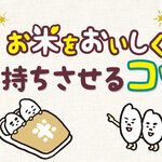 お米をおいしく長持ちさせるコツ