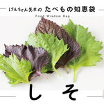 けんちゃん先生のたべもの知恵袋［しそ］