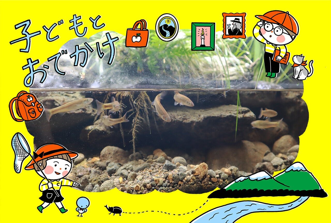 【久留米市】筑後川の生きものや水害について学べる無料施設「くるめウス」