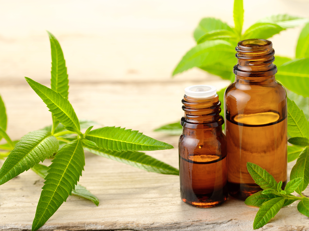 バーミキラナベ （バルベーラ2022 | ナチュマル ワインストア | 日本  