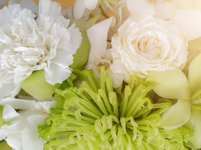 Chanel シャネル の男女別香水人気17選 一度は使ってみたい憧れの香り Coloria Magazine カラリアマガジン