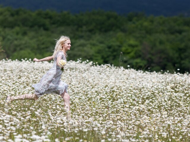 Christian Diorの代名詞 ミスディオール 4つの香りを比較 Coloria Magazine