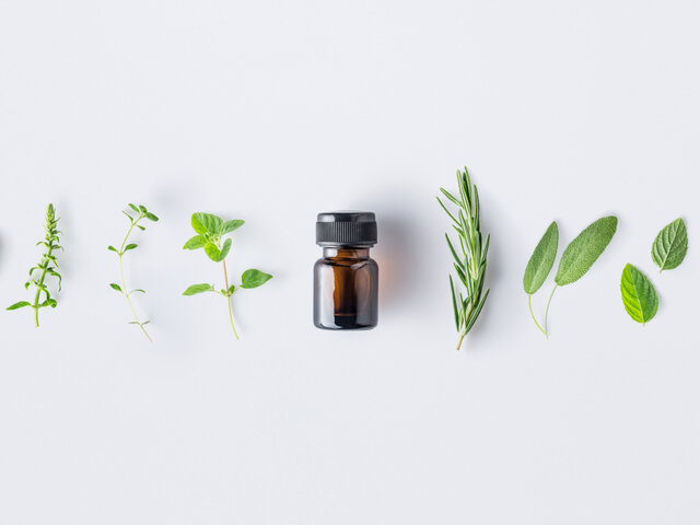 本格派精油なら 生活の木 がおすすめ 人気のアロマオイルランキング10選 Coloria Magazine カラリアマガジン