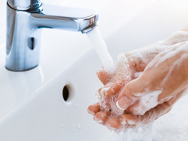 固形石鹸おすすめランキング 洗顔 ボディ ハンド 用途別の人気商品を厳選してご紹介 Coloria Magazine