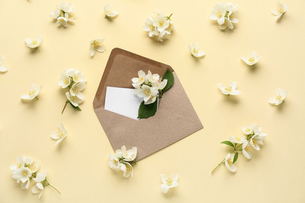 ジャスミンの花の写真