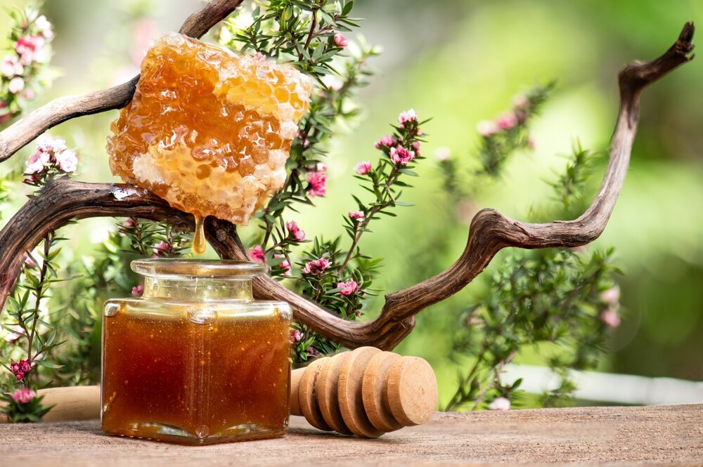 ハチミツと植物