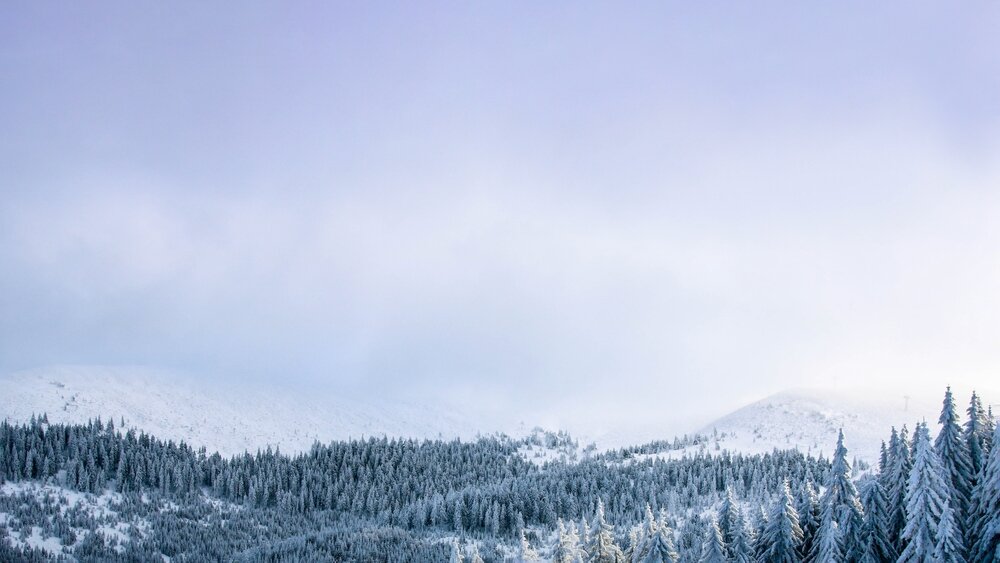 雪の写真