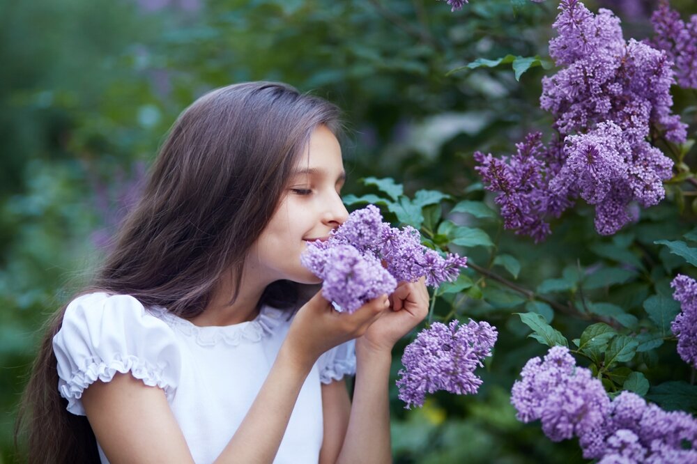 女の子が花の香りを嗅いでいる写真