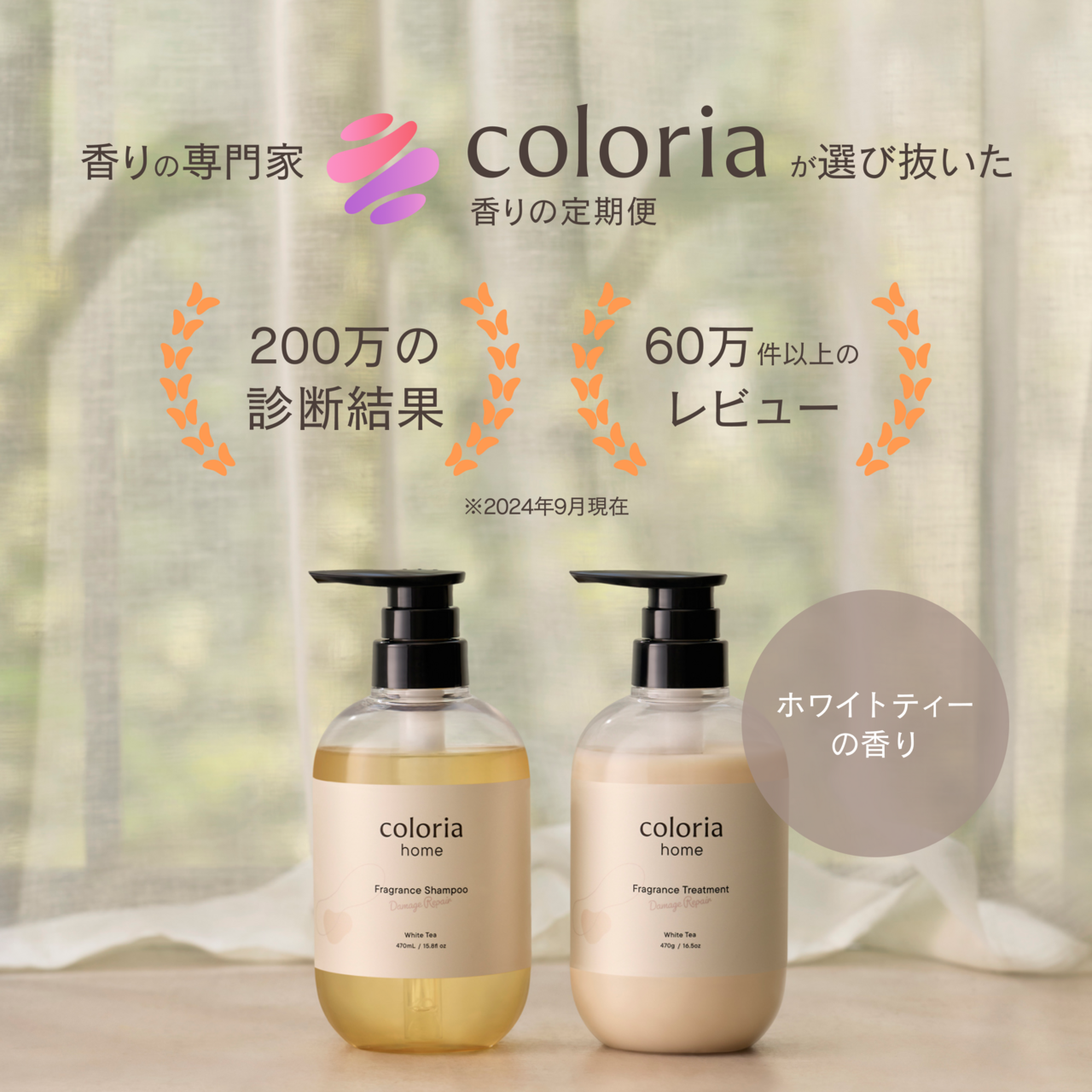 60万件以上のレビューデータから生まれたこだわりのアイテム