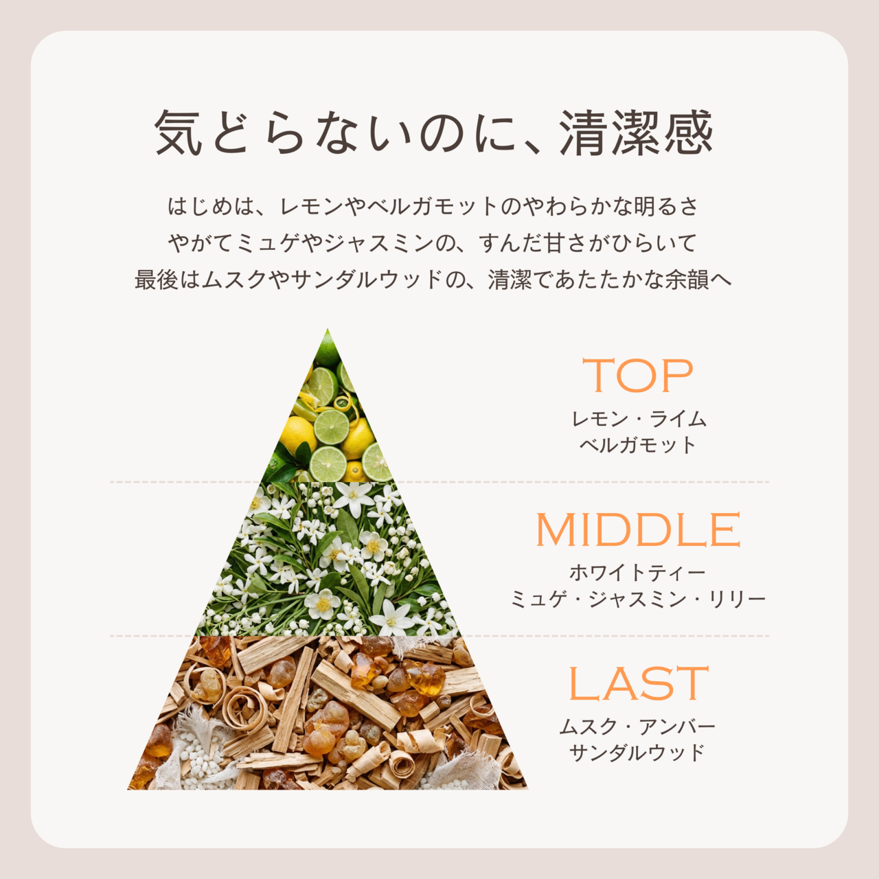 「ホワイトティー」の香りの説明