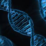 食べ物を変えれば、遺伝子が変わり、長生きができる。