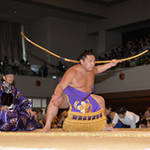 秋巡業・大相撲京都場所　「島津アリーナ（京都府立体育館）」にて開催！【イベント】