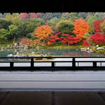 嵐山特集56　秋の「天龍寺」大自然の中、美しい庭園に紅葉風景を見つける【世界遺産】