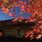 嵐山特集59　「宝厳院」11月11日より夜の特別拝観がスタート！【観光】【イベント】